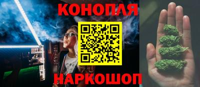 Альфа ПВП Новозыбков