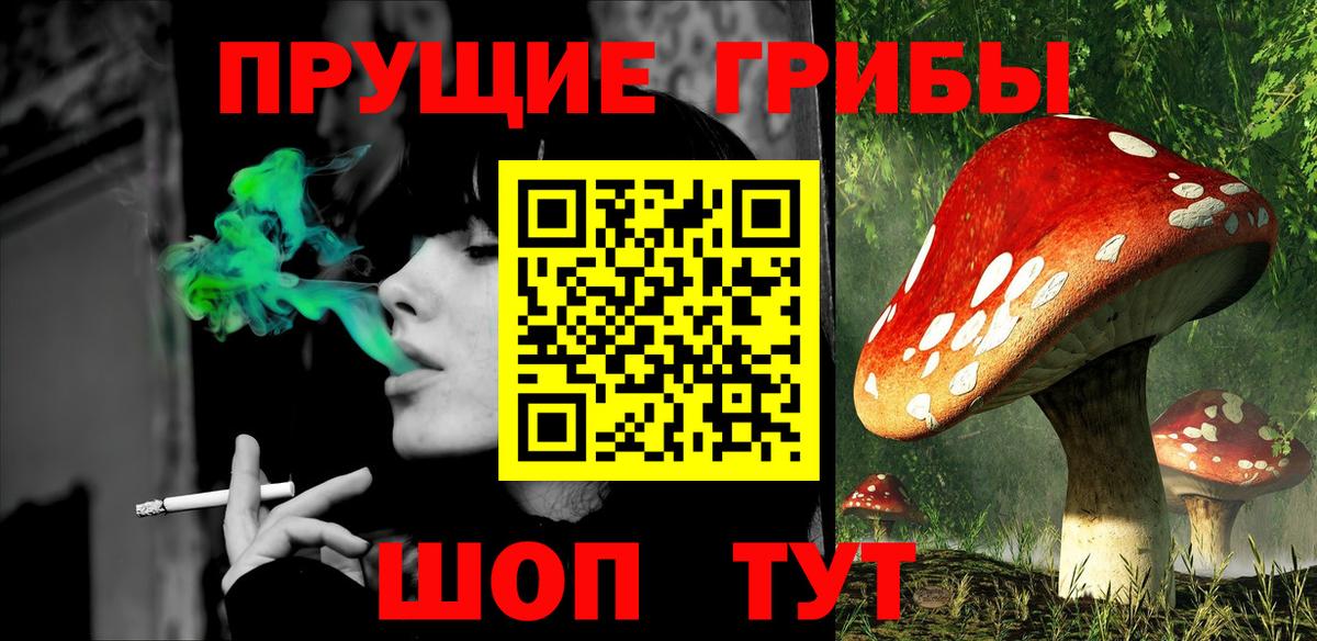 Хабаровск  Галлюциногенные грибы Psilocybine cubensis  Вход с VPN 